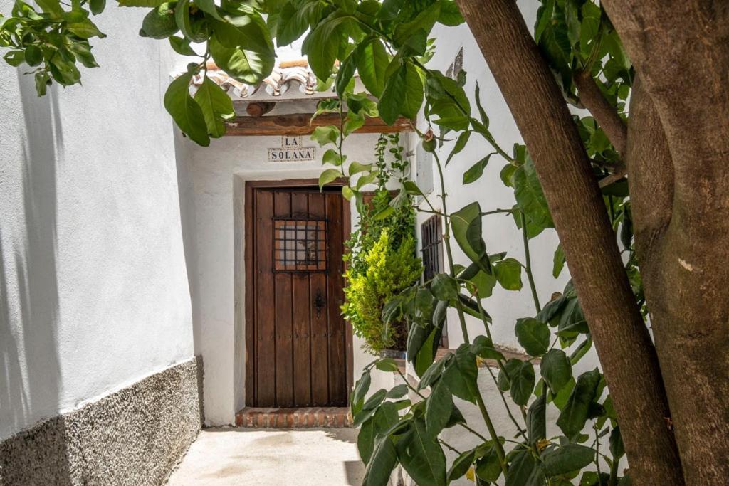 Villa Casa Solana Benadalid Exterior foto